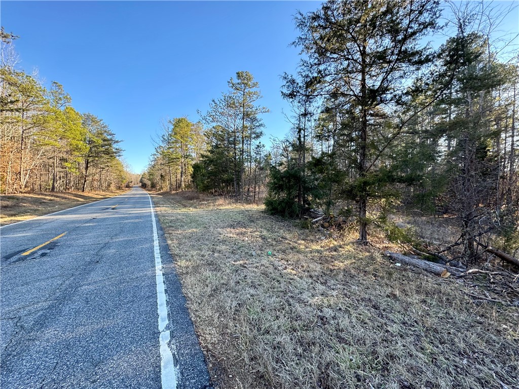 C Rock Cut Road Smyrna, SC 29743 - Photo 2 of 29