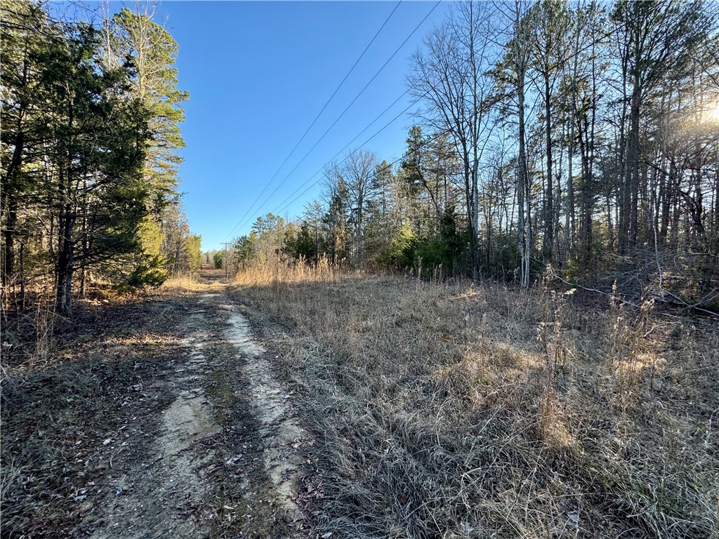 C Rock Cut Road Smyrna, SC 29743 - Photo 21 of 29