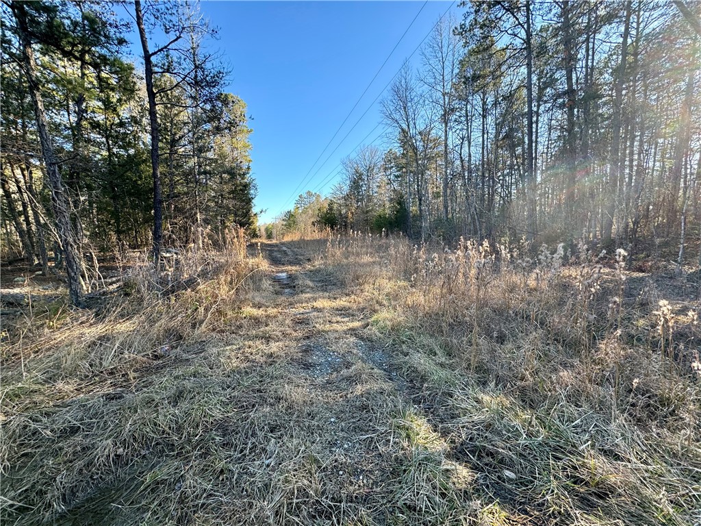 C Rock Cut Road Smyrna, SC 29743 - Photo 22 of 29
