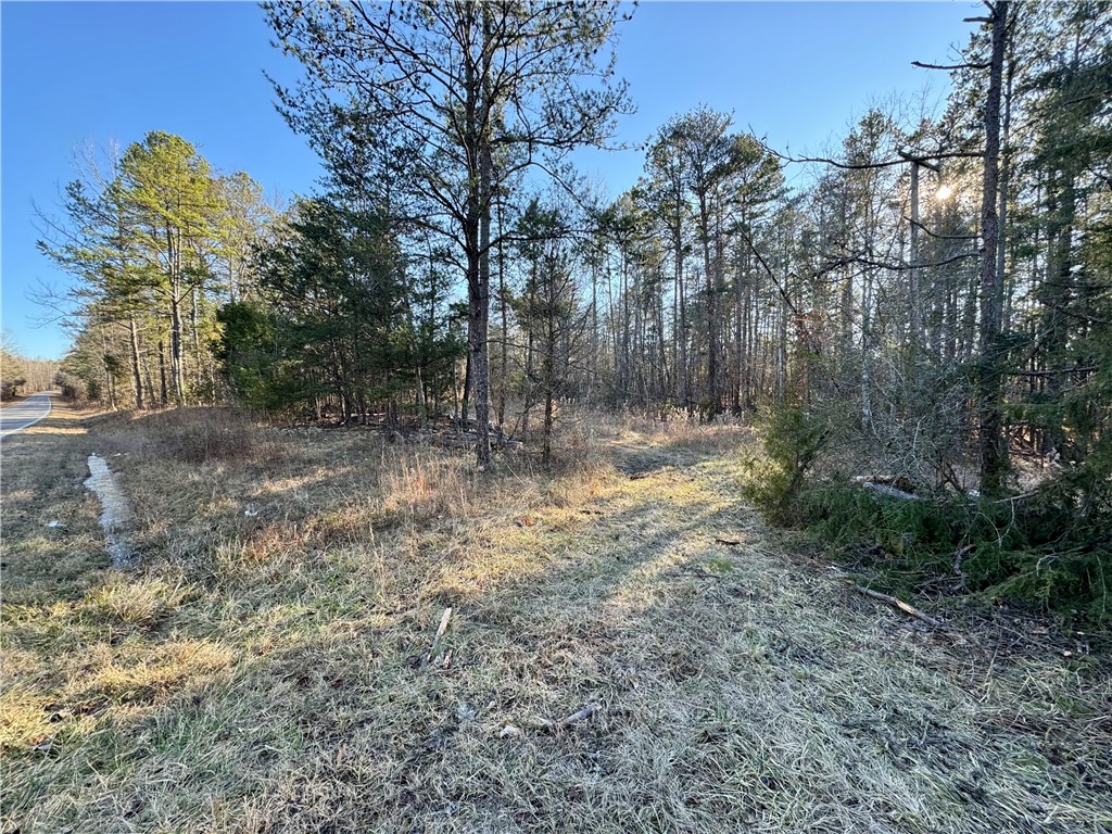 C Rock Cut Road Smyrna, SC 29743 - Photo 23 of 29