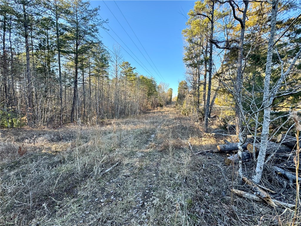 C Rock Cut Road Smyrna, SC 29743 - Photo 24 of 29