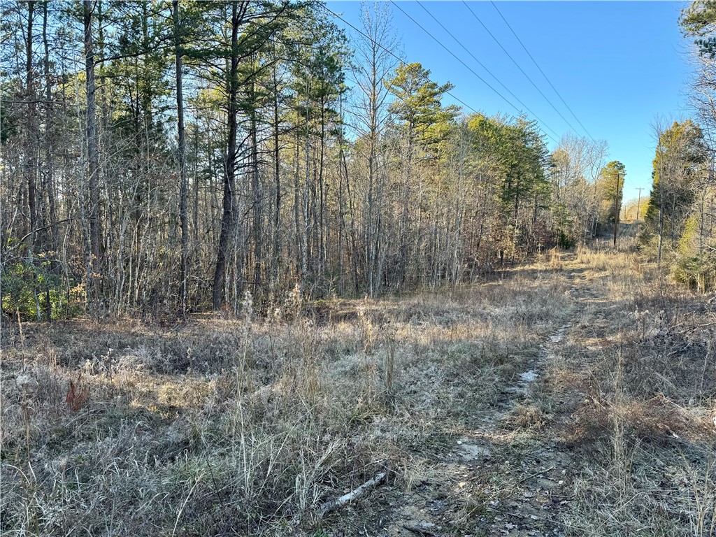 C Rock Cut Road Smyrna, SC 29743 - Photo 25 of 29