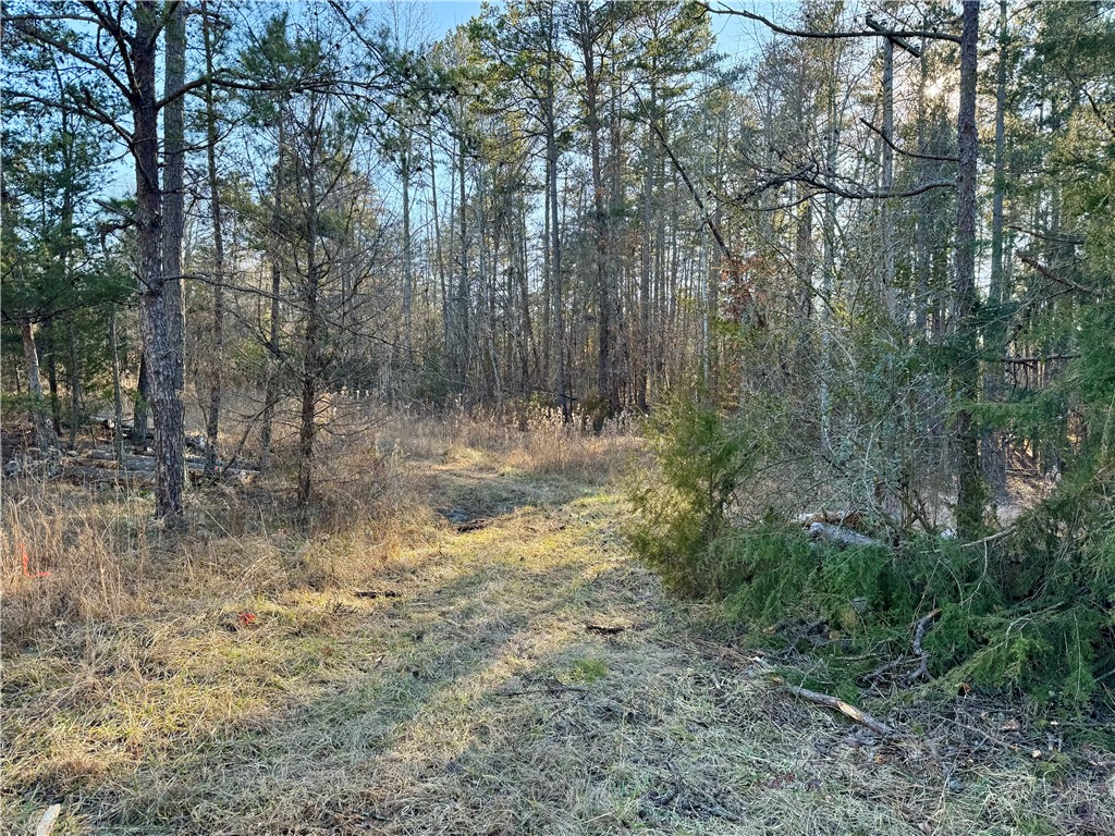 C Rock Cut Road Smyrna, SC 29743 - Photo 26 of 29