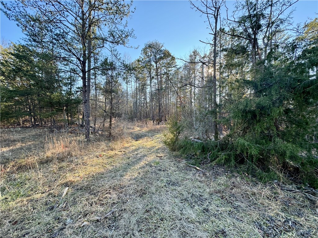 C Rock Cut Road Smyrna, SC 29743 - Photo 4 of 29
