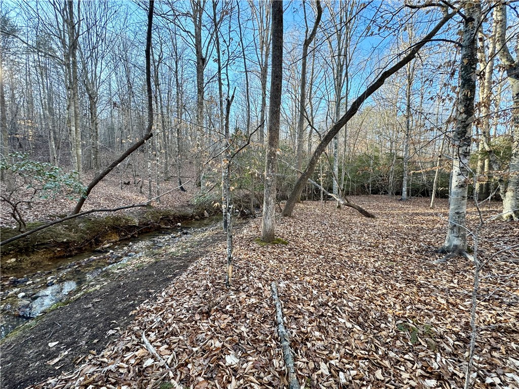 C Rock Cut Road Smyrna, SC 29743 - Photo 5 of 29