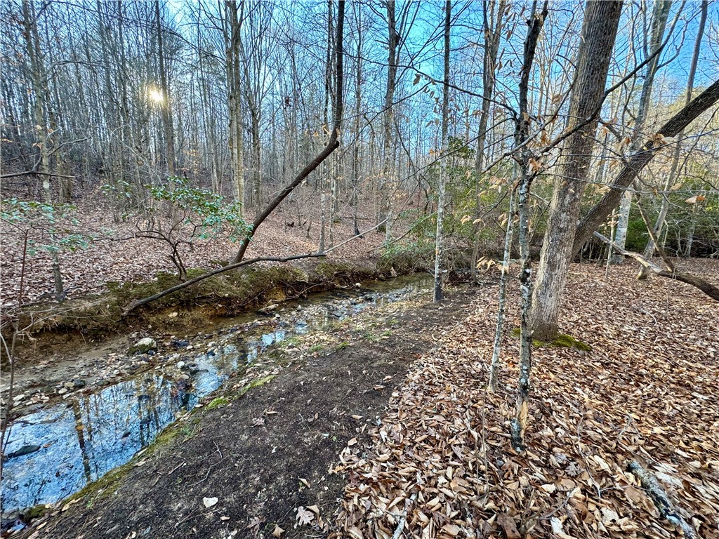 C Rock Cut Road Smyrna, SC 29743 - Photo 6 of 29