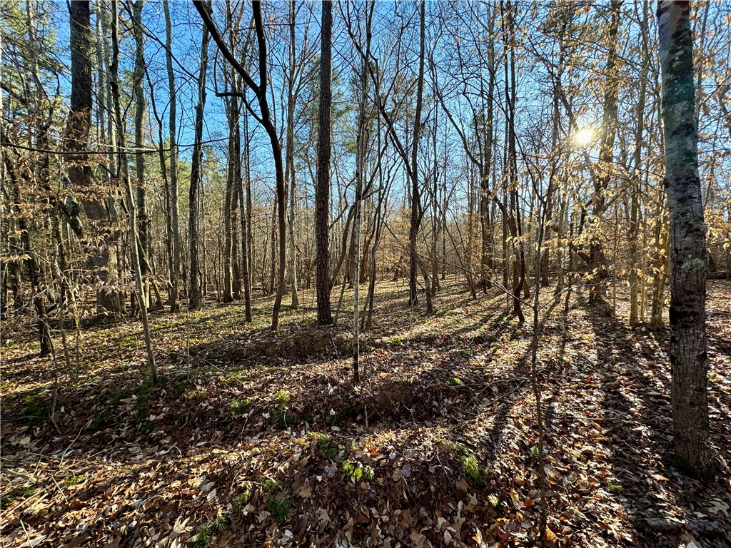 C Rock Cut Road Smyrna, SC 29743 - Photo 10 of 29