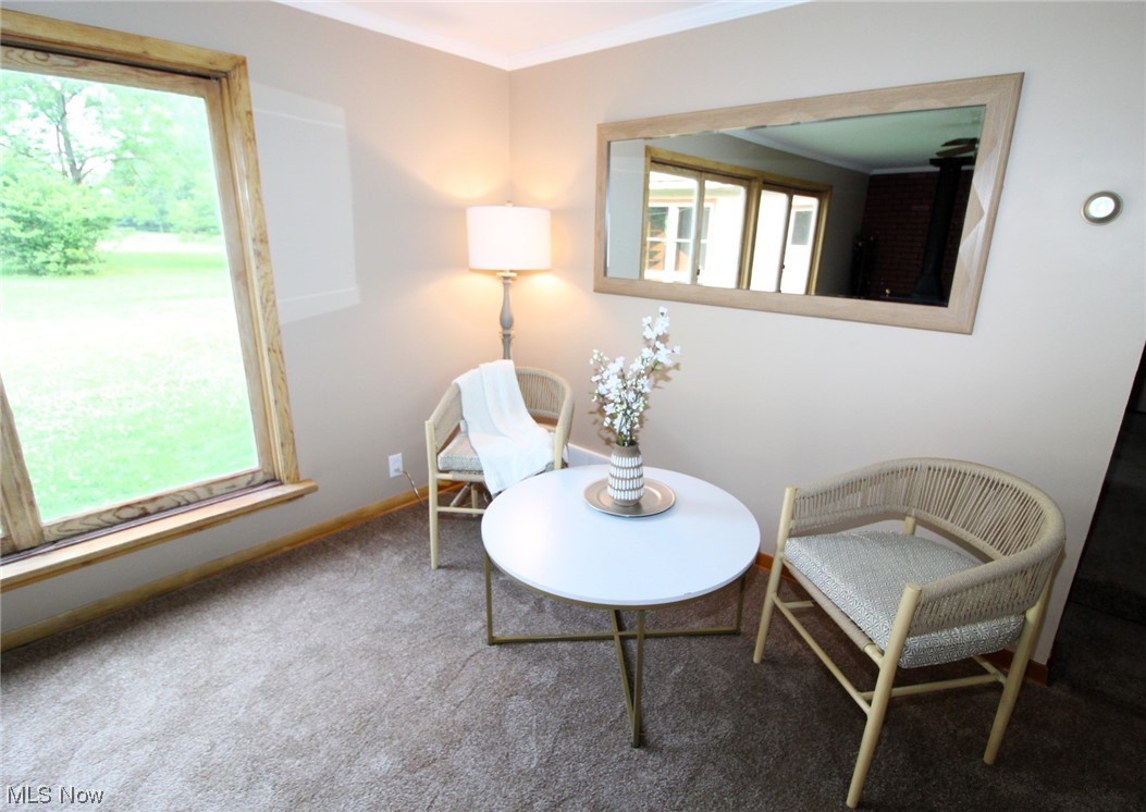10210 Stone Road Cleveland, OH 44125 - Photo 6 of 35