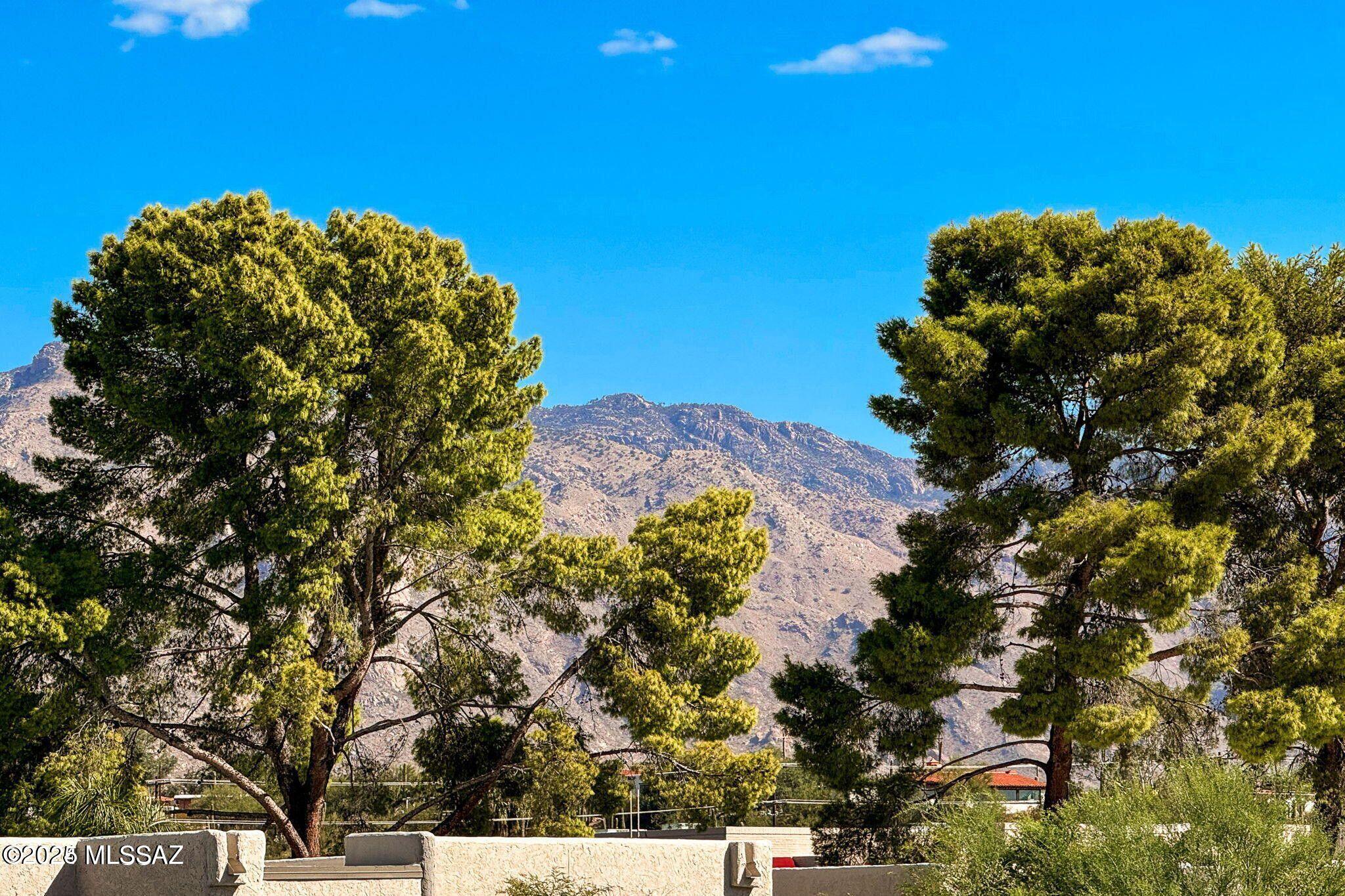 2028 East River Road, Unit 205 Tucson, AZ 85718 - Photo 37 of 42