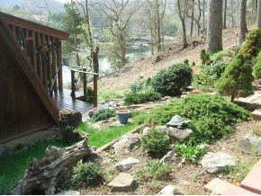 688 Summer Sound Road Piney Flats, TN 37686 - Photo 12 of 12 Photo 12
