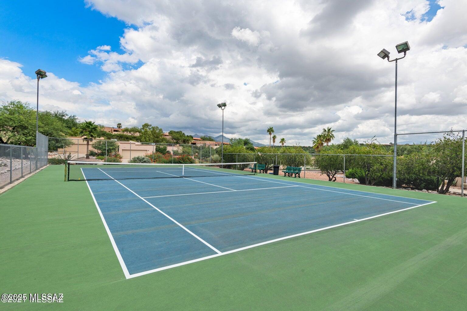 4814 North Territory Loop Tucson, AZ 85750 - Photo 29 of 29