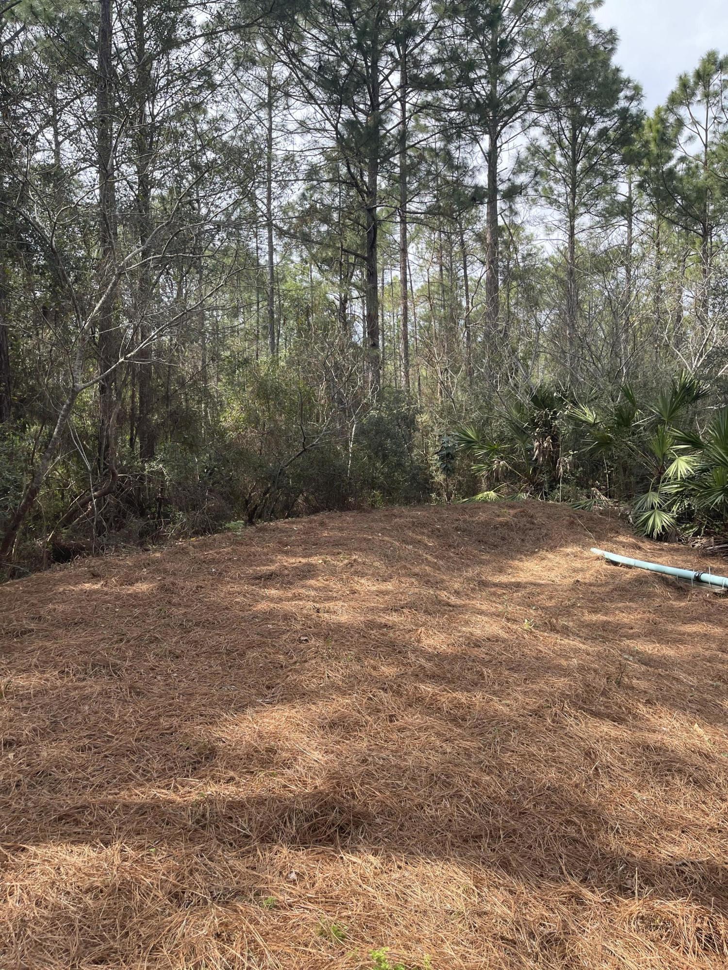 47 15th Street Santa Rosa Beach, FL 32459 - Photo 14 of 20 a view of a field with trees in the background