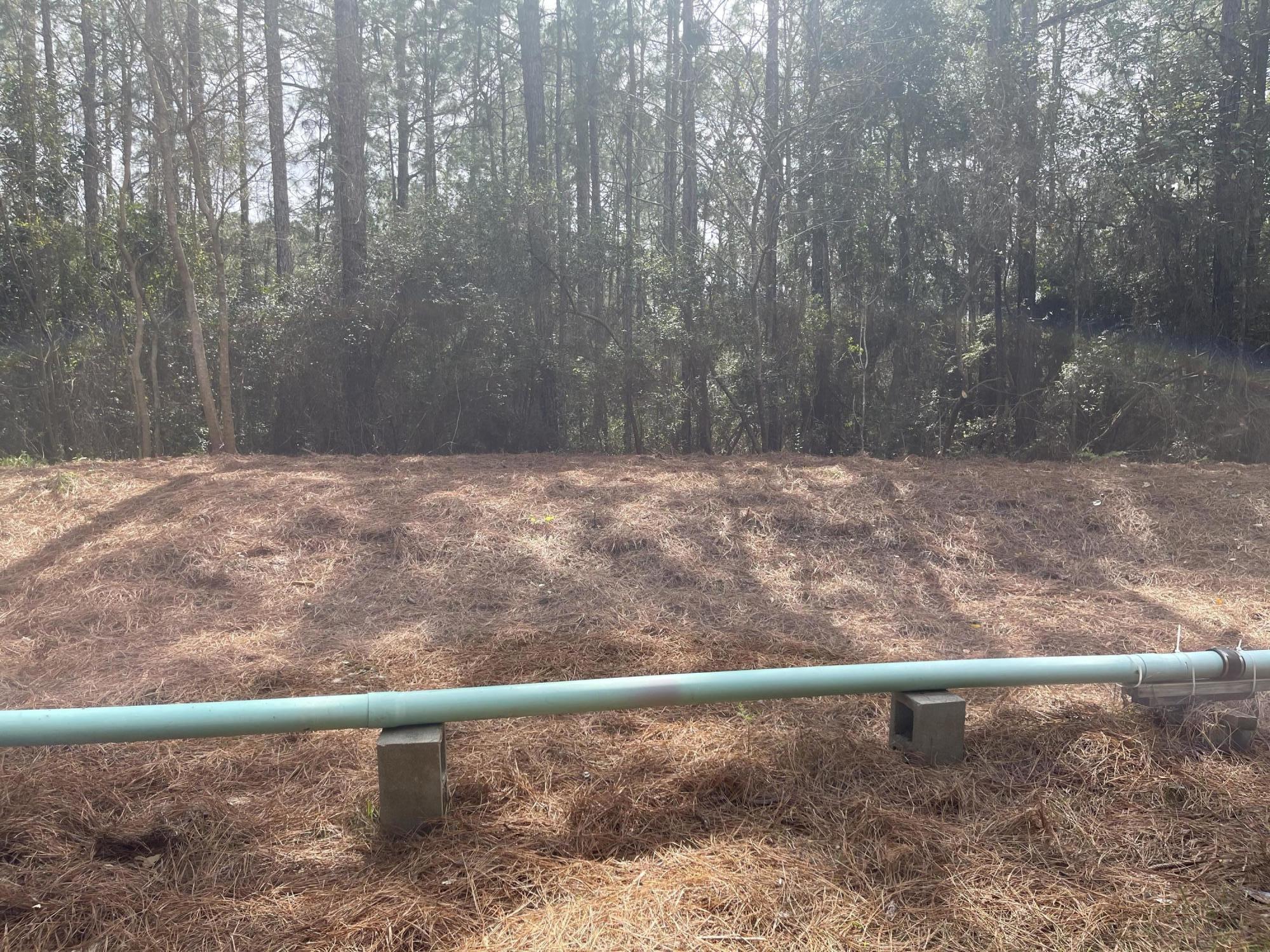 47 15th Street Santa Rosa Beach, FL 32459 - Photo 16 of 20 a view of a yard with trees in the background