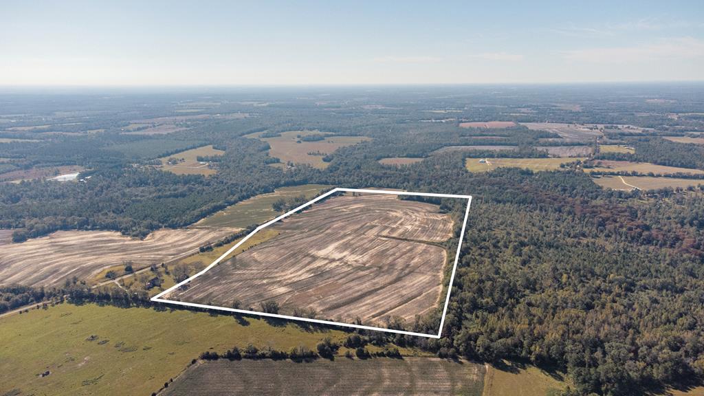 0 Paul Lamp Road Pansey, AL 36370 - Photo 1 of 6