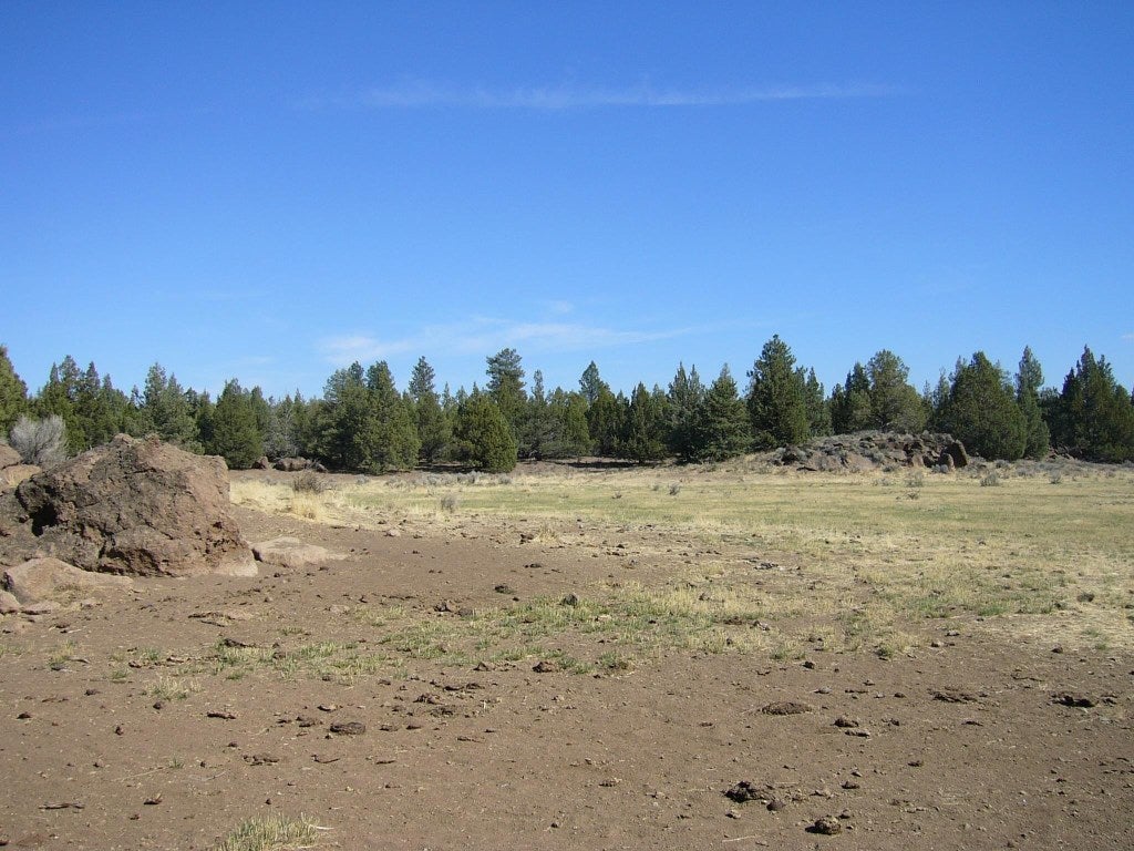 640 Acres Red Rock Road Macdoel, CA 96058 - Photo 16 of 24 Gallery Image 16