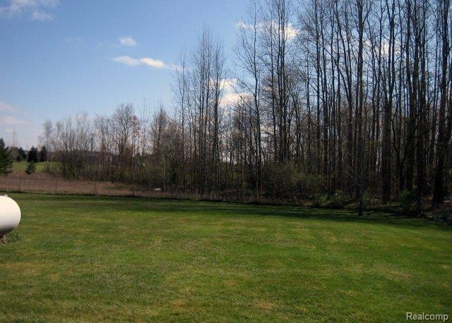 5796 5 Lakes Road North Branch, MI 48461 - Photo 13 of 16 Back Yard.JPG