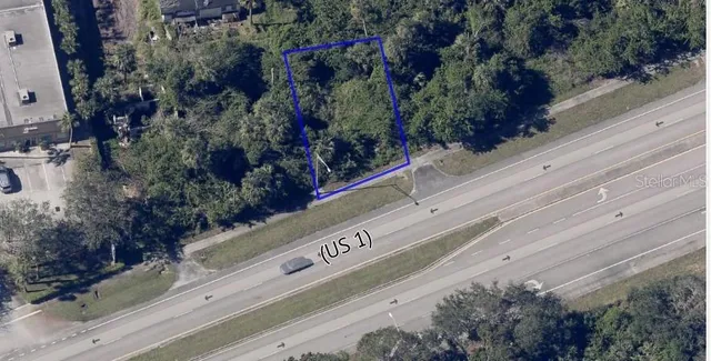 a close up of a tree