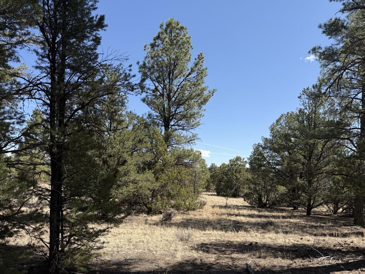823 Timberlake Road Ramah, NM 87321 - Photo 32 of 47 Gallery Image 32