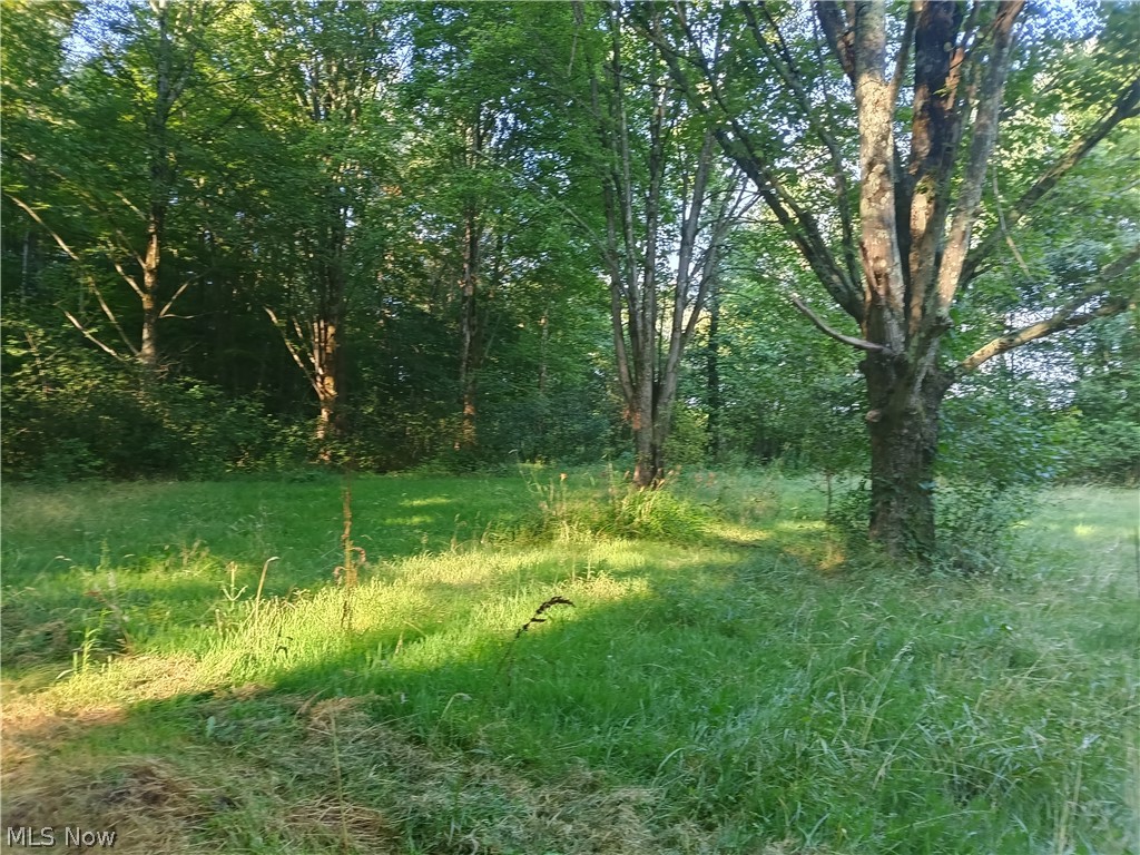 6168 Twitchell Road Andover, OH 44003 - Photo 12 of 14