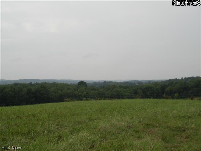 201 Spring Road Minerva, OH 44657 - Photo 18 of 21 Gallery Image 18