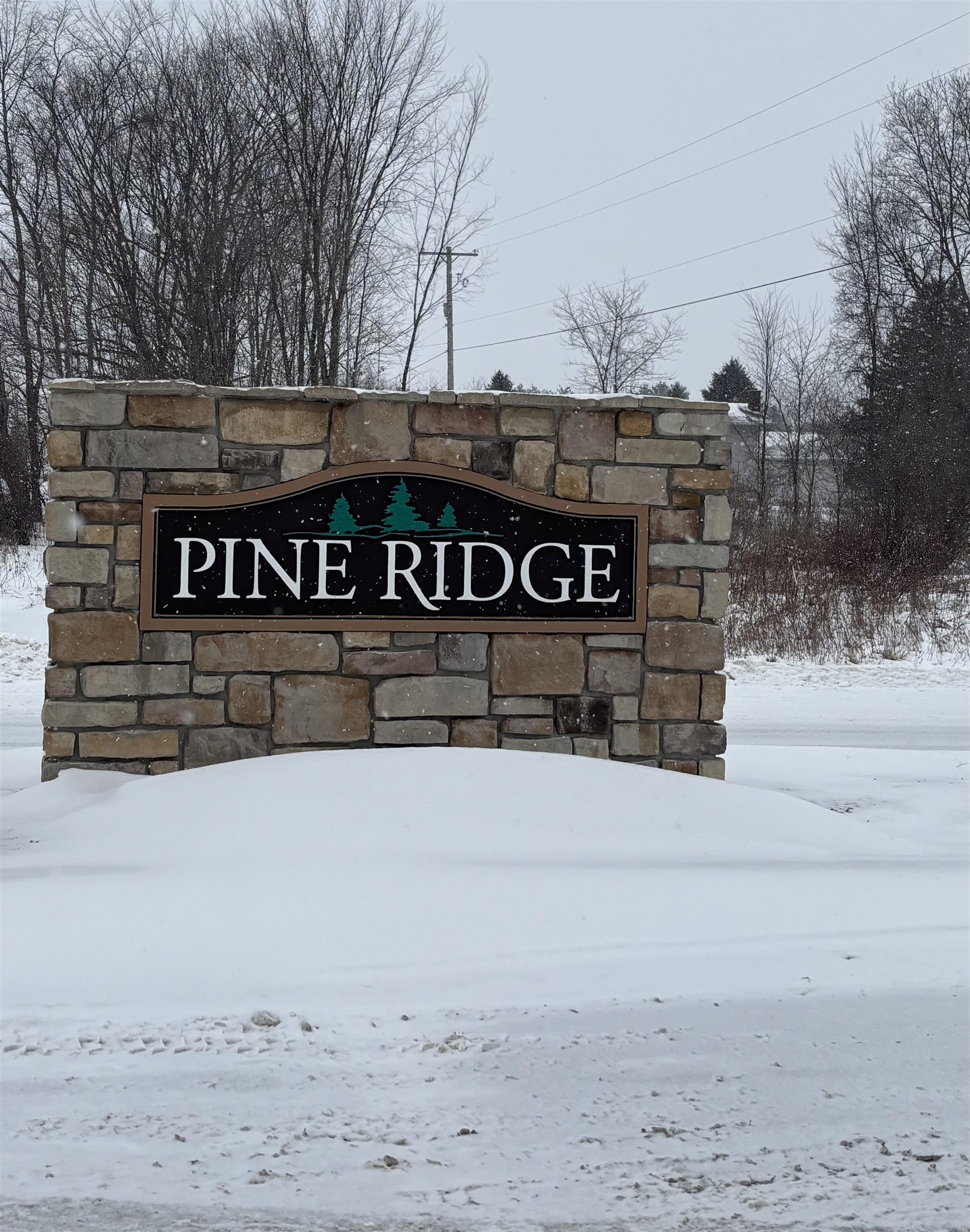 0 Pine Ridge Drive, Unit LOT: 28 Mount Pleasant, MI 48858 - Photo 1 of 7