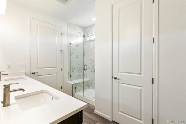 a bathroom with a sink a shower and a mirror