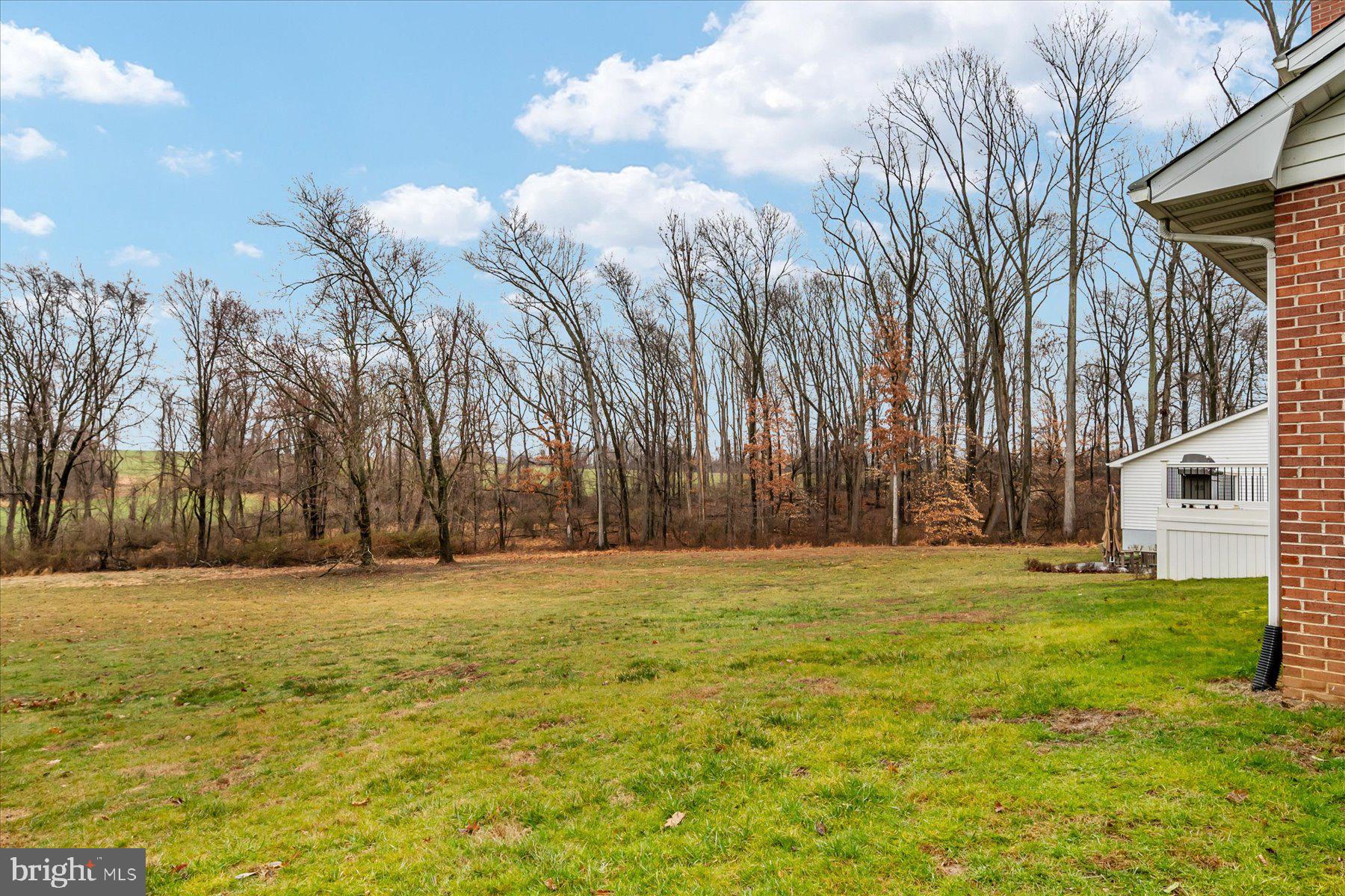 2508 Carroll Mill Road Phoenix, MD 21131 - Photo 45 of 48 Rear/Side Yard
