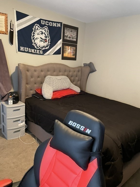 23 Preston Street Springfield, MA 01109 - Photo 19 of 24