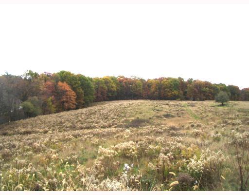 Land. View from front of property on Myoma Road