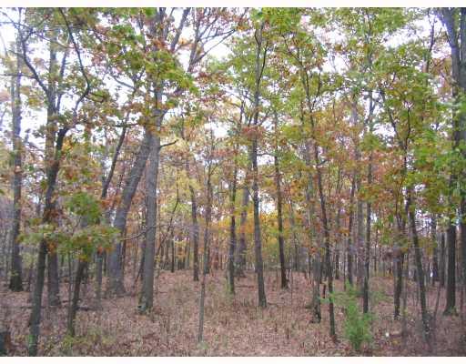 5 Myoma Road Mars, PA 16046 - Photo 3 of 4 Land/Lot. Large trees adorn rear portion of 16.53 acre parcel.