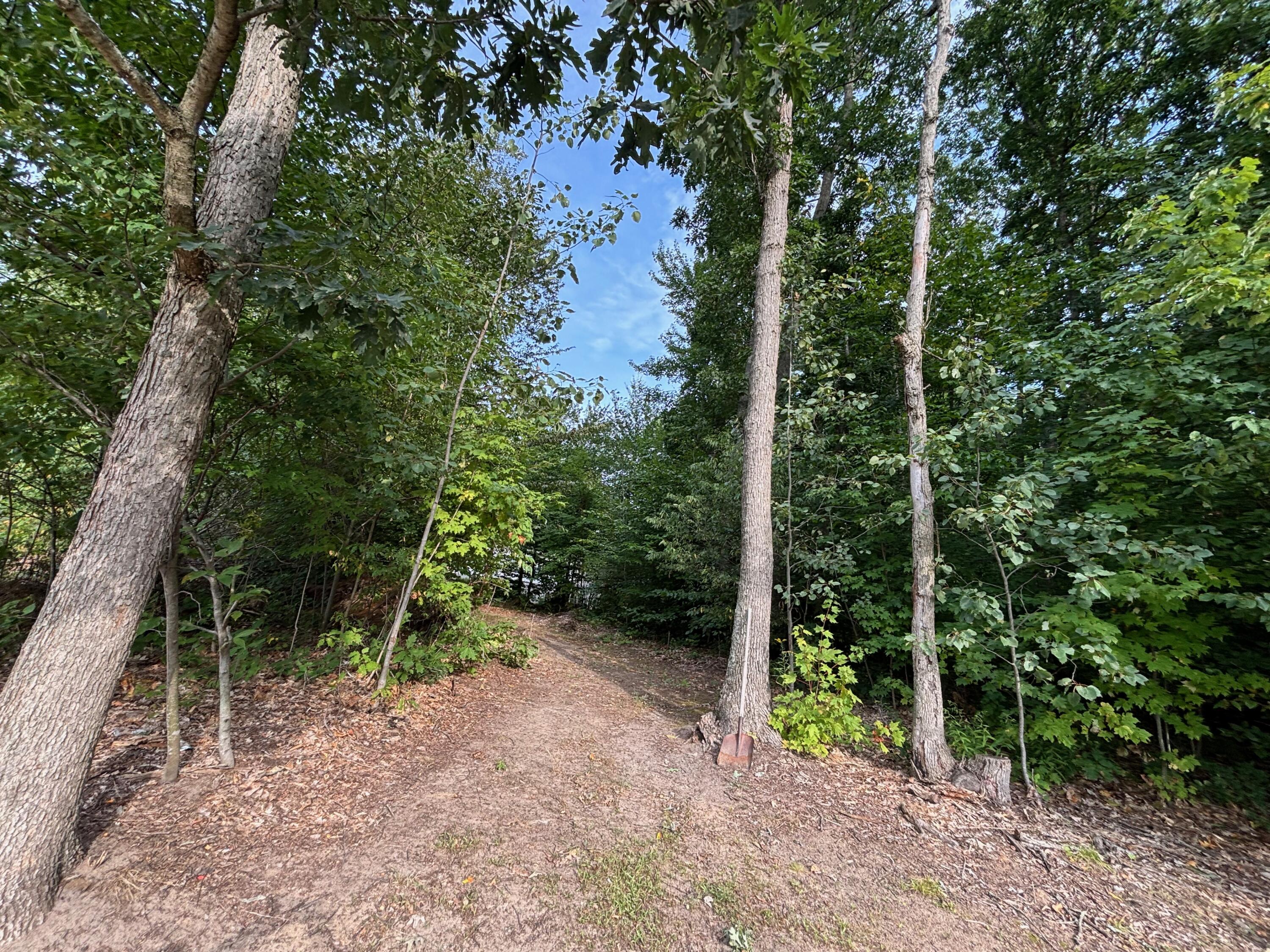 2905 East Jackson Road Walkerville, MI 49459 - Photo 57 of 64 IMG_7496