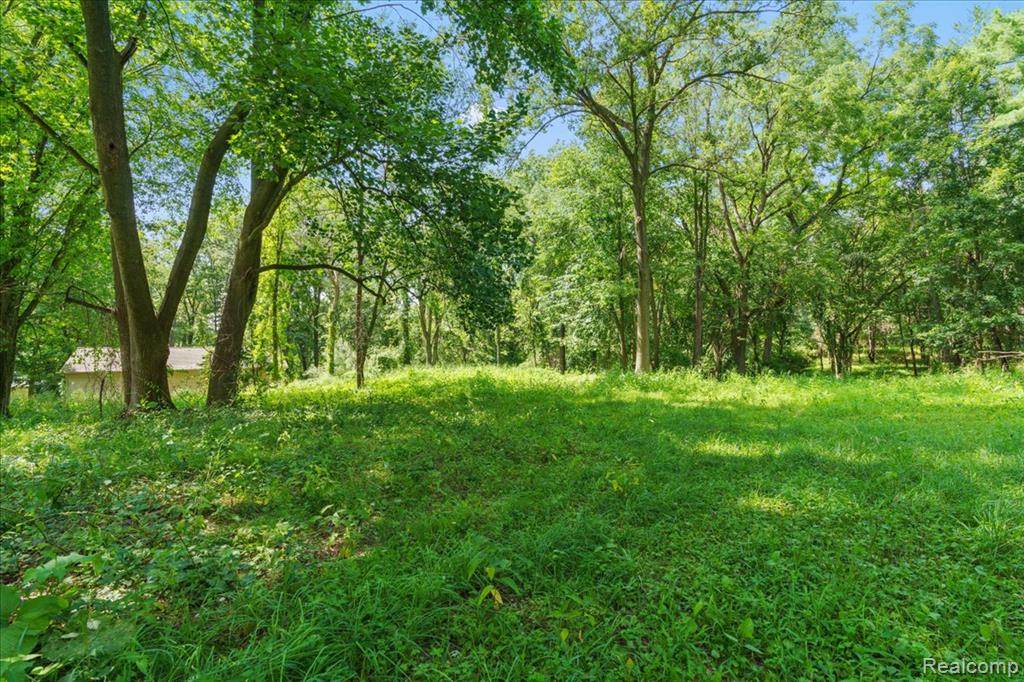 11071 Newman Road Brighton, MI 48114 - Photo 18 of 20