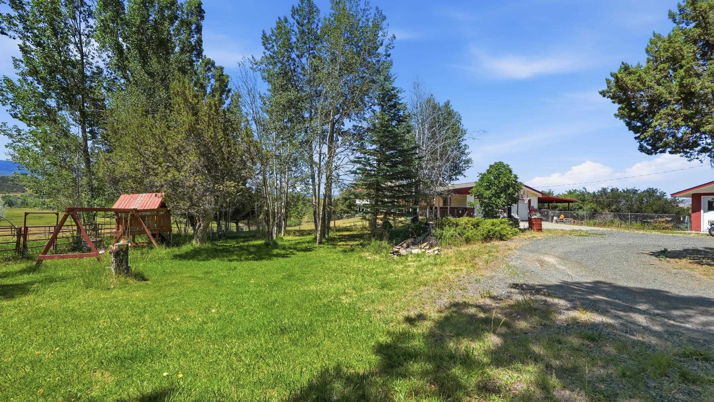 15377-59 59 1/2 Road Collbran, CO 81624 - Photo 30 of 42