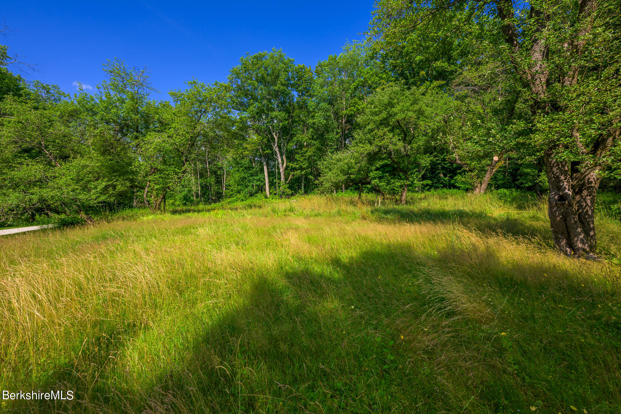 4 Austerlitz Road West Stockbridge, MA 01266 - Photo 31 of 42 a view of yard with green space