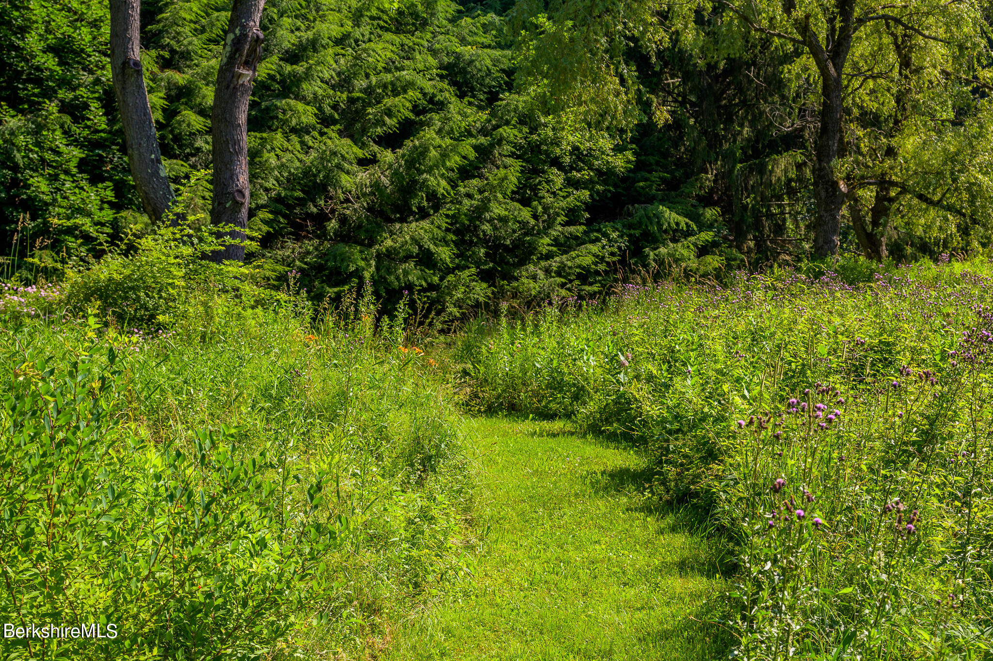 4 Austerlitz Road West Stockbridge, MA 01266 - Photo 33 of 42 a view of a garden