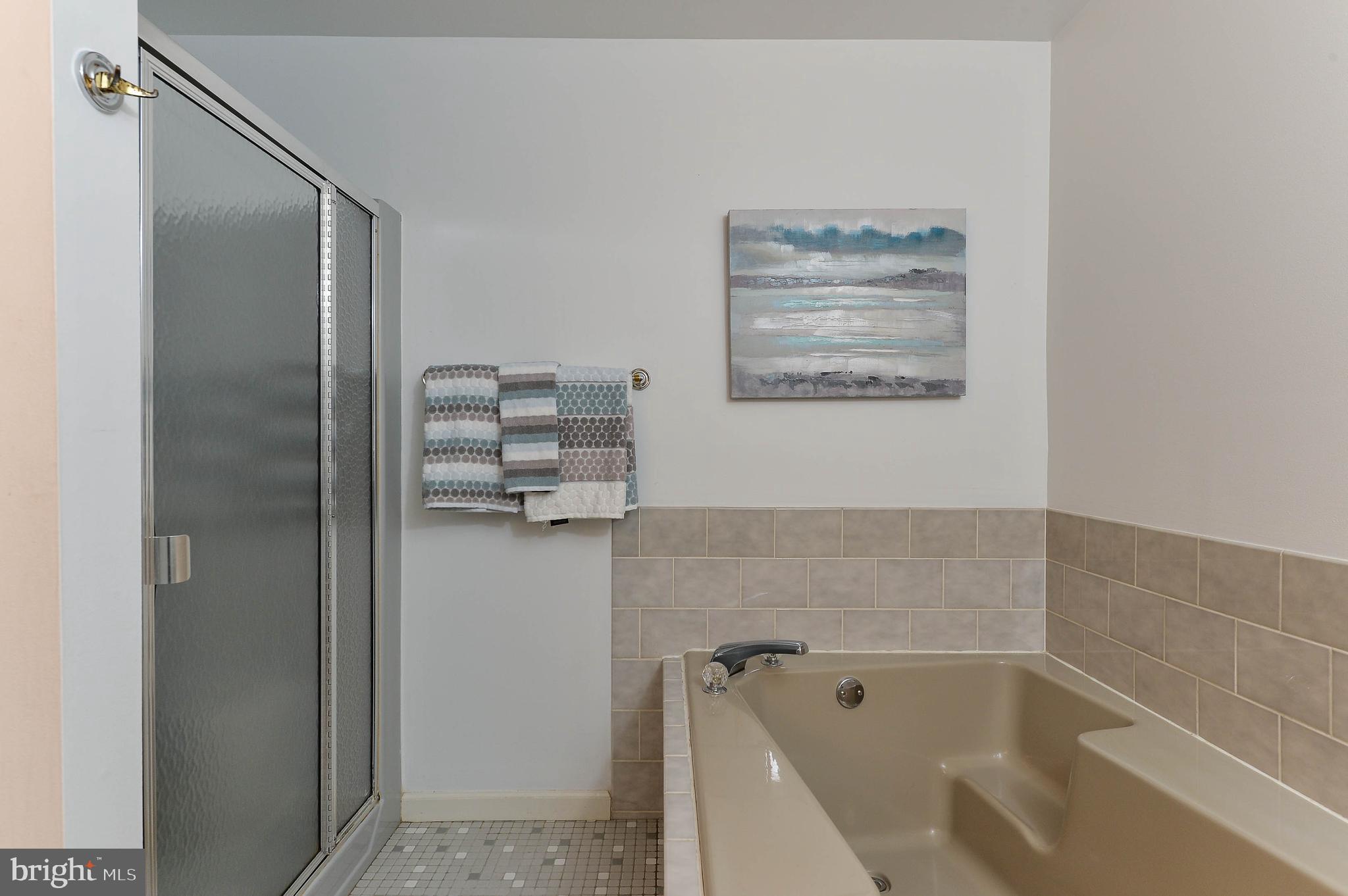 1635 Old Elk Neck Road Elkton, MD 21921 - Photo 6 of 18 Soaking tub and shower in full bath