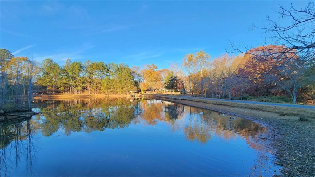 105 Candlewood Path Dallas, GA 30157 - Photo 59 of 61