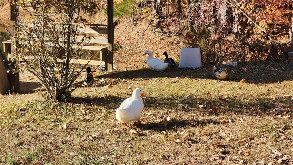 105 Candlewood Path Dallas, GA 30157 - Photo 6 of 61