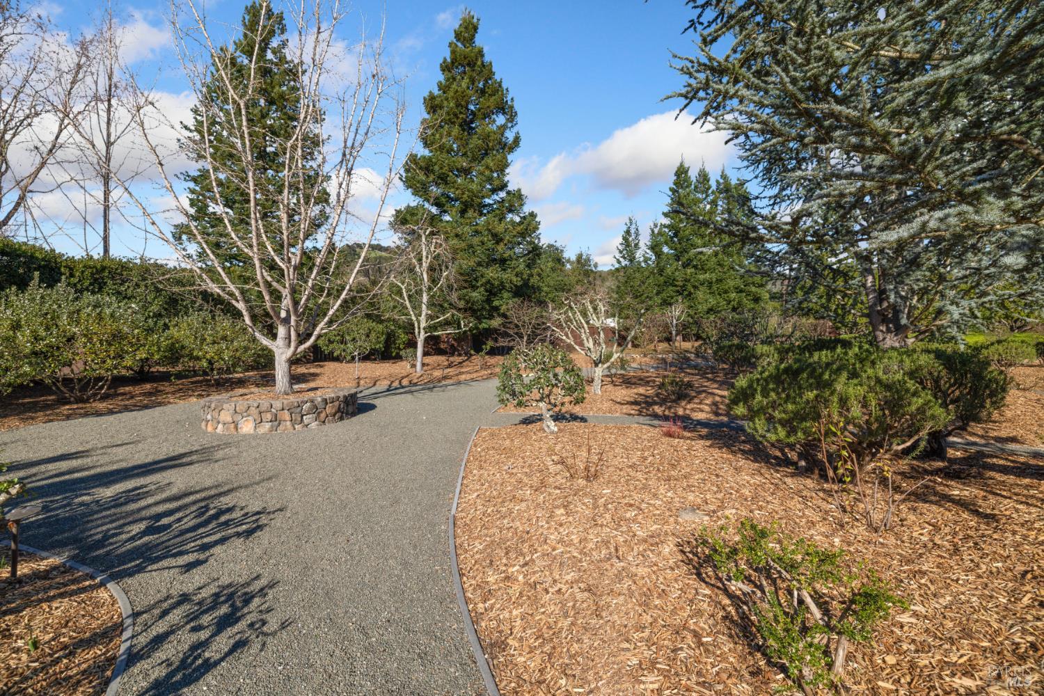 1545 North Castle Road Sonoma, CA 95476 - Photo 3 of 19 a view of road with yard