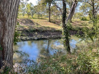 238 Narrows Road, Unit 83 Blanco, TX 78606 - Photo 12 of 30 Gallery Image 12