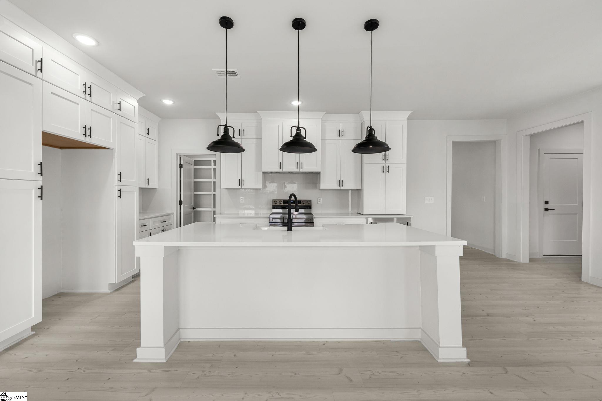 209 Redmond Drive Fountain Inn, SC 29644 - Photo 4 of 50