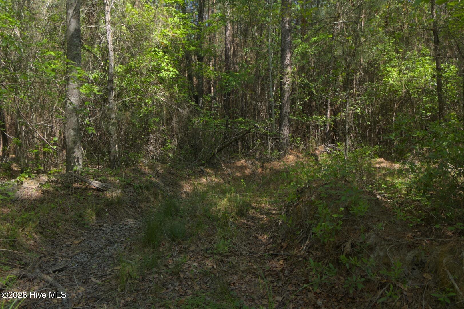 0 Sr 1226 Road Aberdeen, NC 28315 - Photo 30 of 43 Ground Site 11 Access East Alt