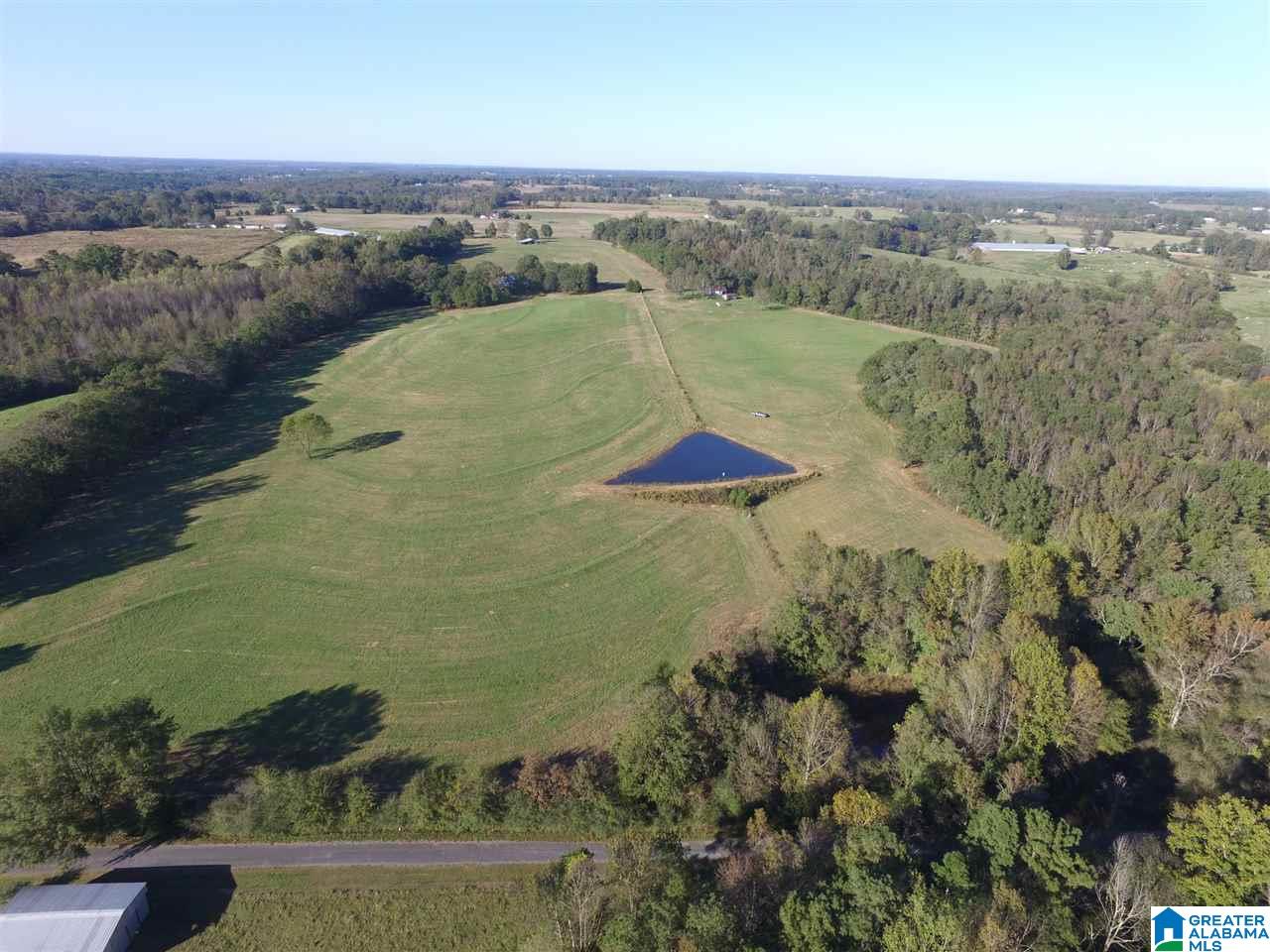 567 Dial Road Blountsville, AL 35031 - Photo 2 of 46