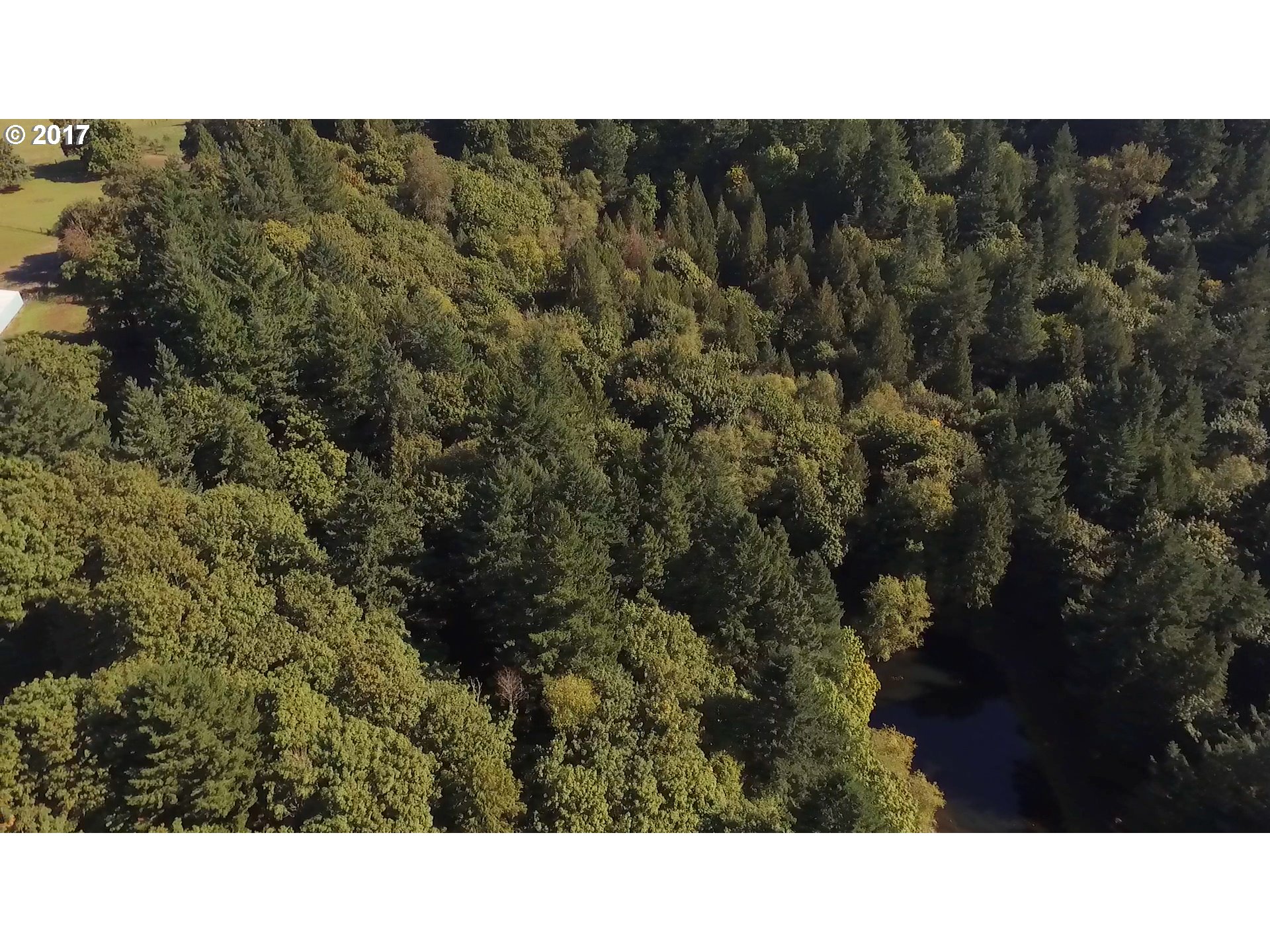 22262 South Thompson Gateway Road Oregon City, OR 97045 - Photo 31 of 32 Acreage