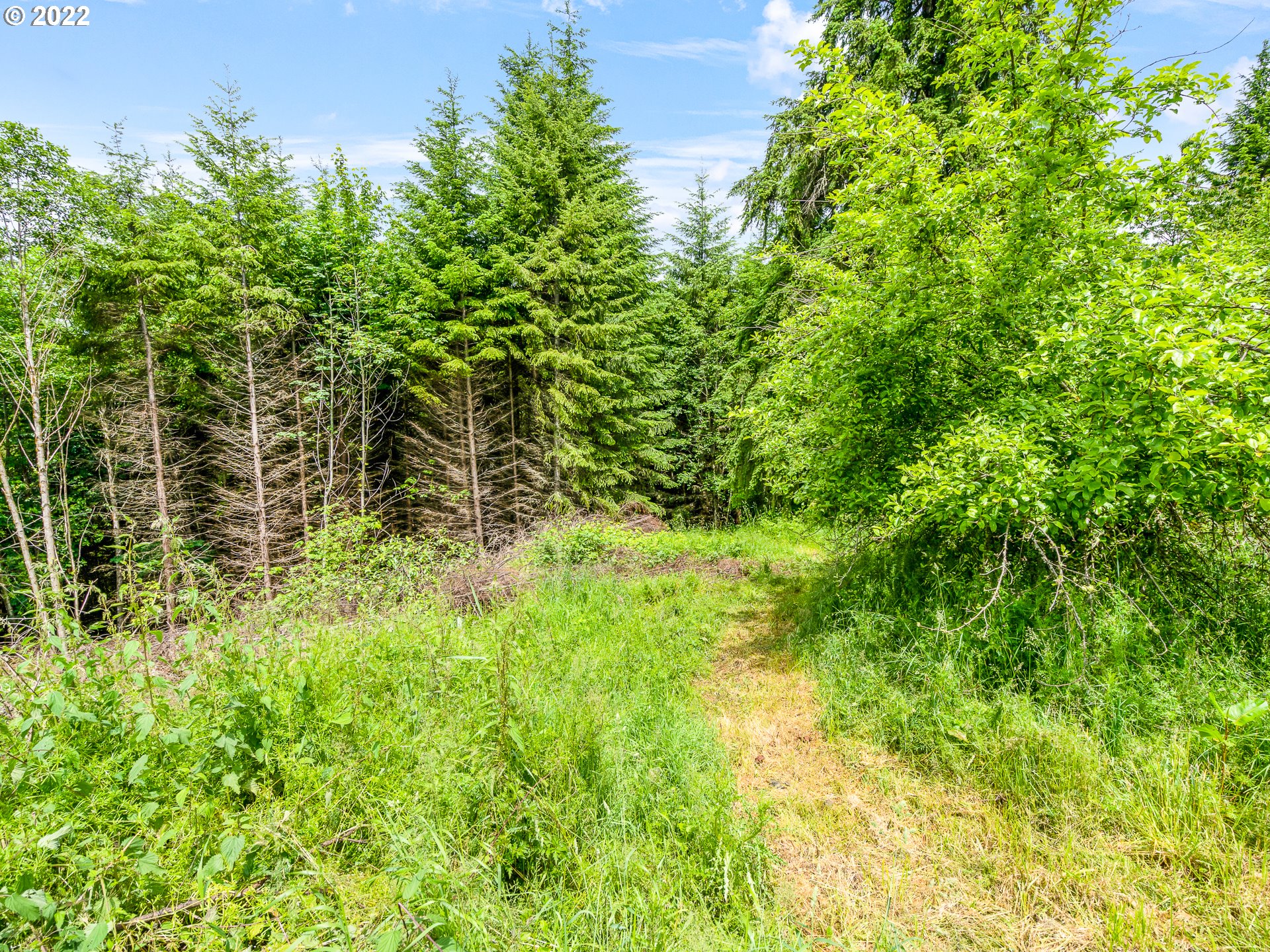 30211 Canaan Road Deer Island, OR 97054 - Photo 21 of 26 Gallery Image 21