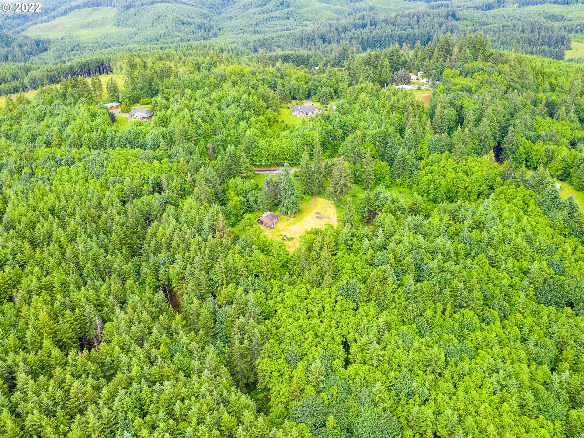 30211 Canaan Road Deer Island, OR 97054 - Photo 4 of 26 Gallery Image 4