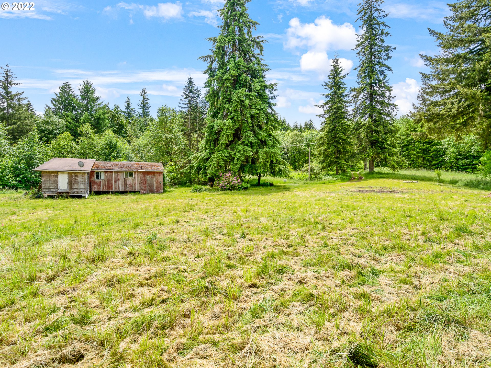 30211 Canaan Road Deer Island, OR 97054 - Photo 10 of 26 Gallery Image 10