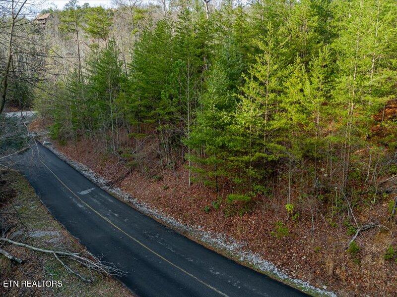 Lot 50 Harvest Moon Road Sevierville, TN 37862 - Photo 2 of 19 02-Harvest Moon Rd Lt50-2