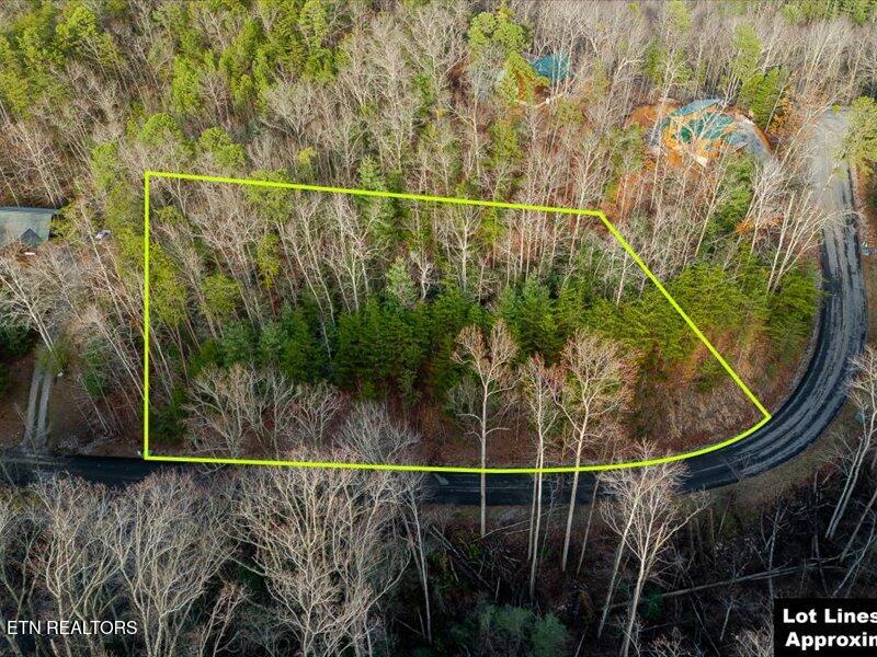Lot 50 Harvest Moon Road Sevierville, TN 37862 - Photo 3 of 19 03-Harvest Moon Rd Lt50-3