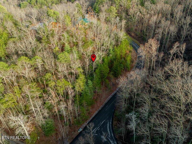 Lot 50 Harvest Moon Road Sevierville, TN 37862 - Photo 4 of 19 05-Harvest Moon Rd Lt50-5
